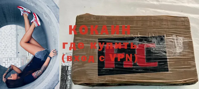 сколько стоит  Кадников  Cocaine Fish Scale 