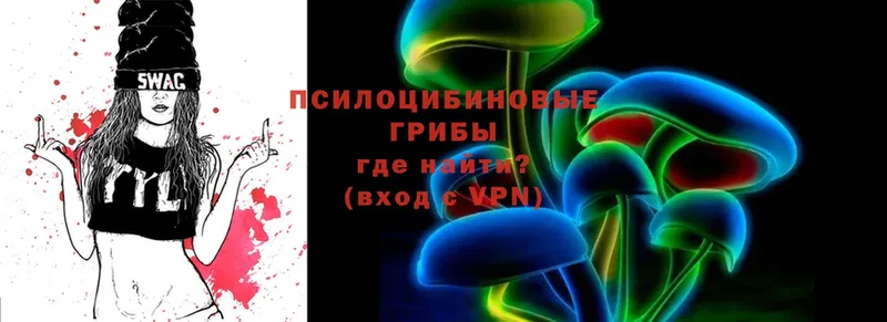 Галлюциногенные грибы Psilocybe  Кадников 